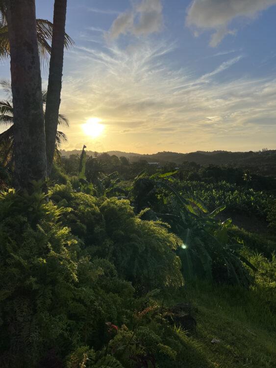 puerto rico sunrise