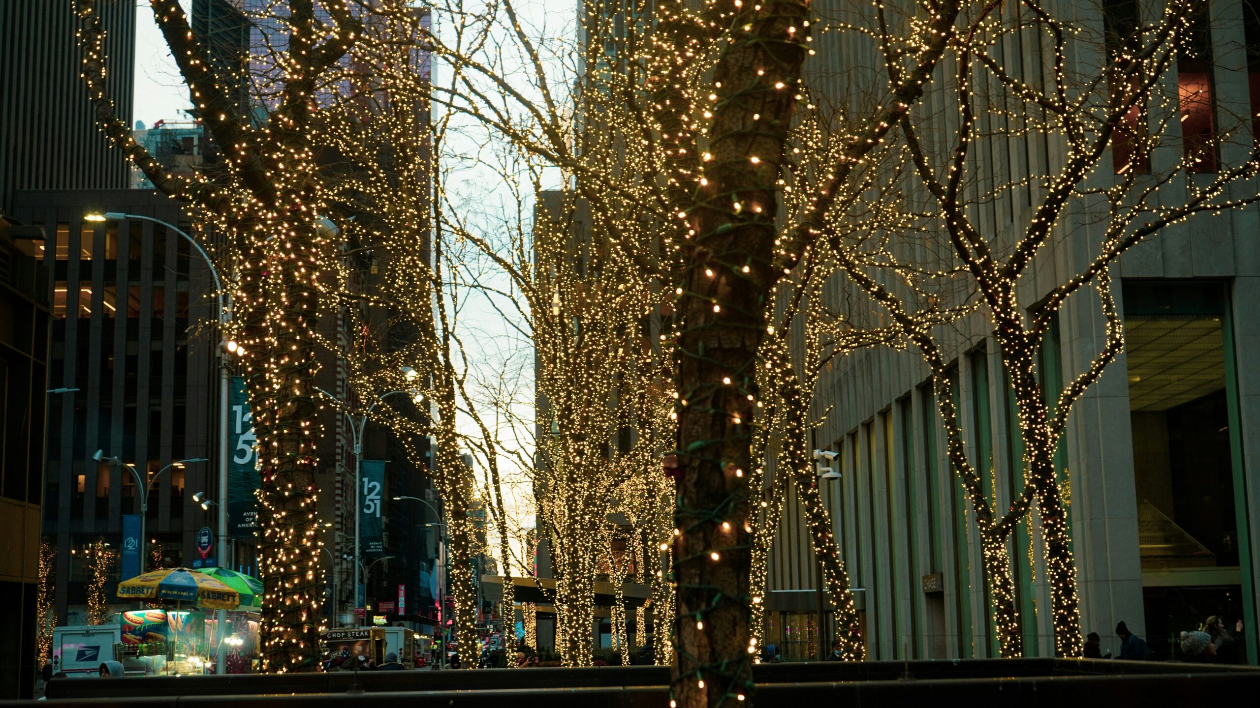 The lit-up trees at Rockefeller Center, which is one of the best things to do in NYC during Christmas